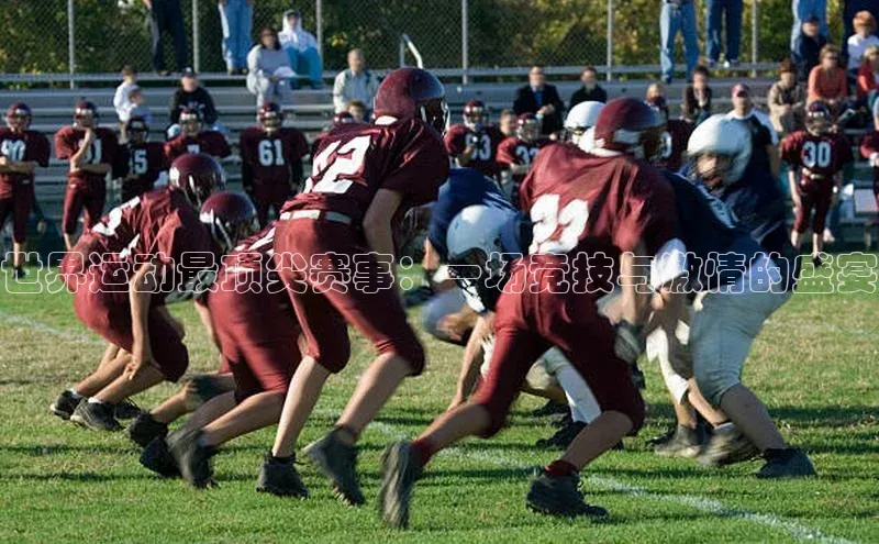 新宝登录app入口手机版百家号世界运动最顶尖赛事：一场竞技与激情的盛宴