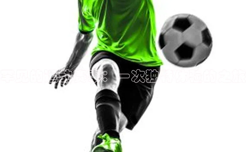 G.G网站最新登录页面度小满支付罕见的运动赛事：一次独特体验的之旅