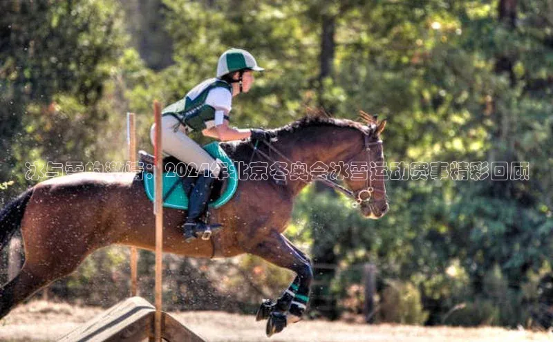 新宝gg创造奇迹登录入口网址百度手机卫士冰与雪的激情：2024年北京冬奥会冰雪运动赛事精彩回顾