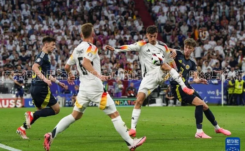 新宝gg官网登录