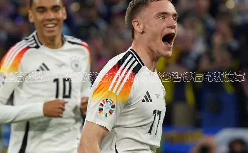 新宝网站登录入口