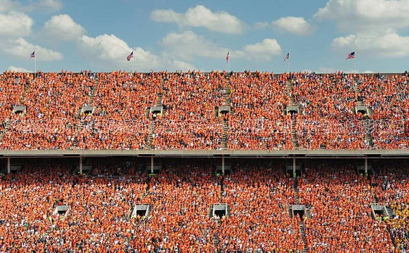 泉城在线：东南赛事的新篇章——泉州线上运动会的精彩瞬间