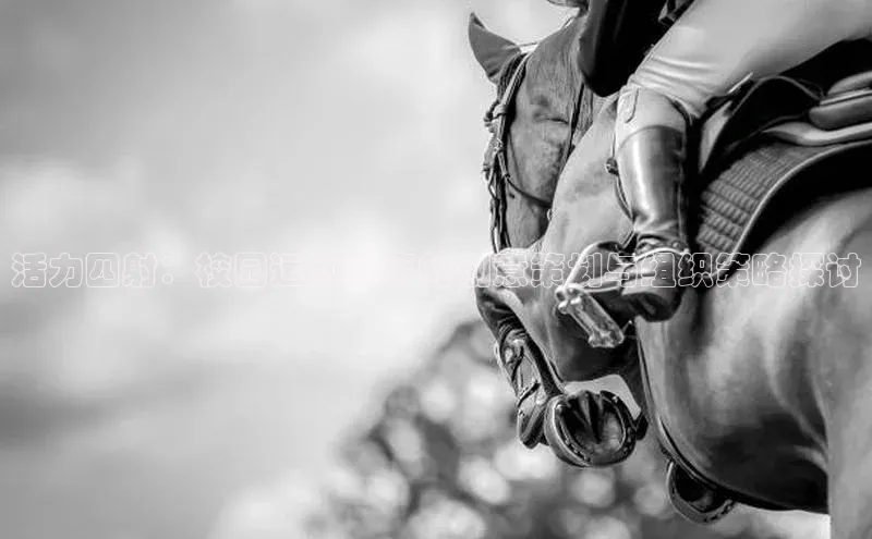 活力四射：校园运动赛事的创意策划与组织策略探讨