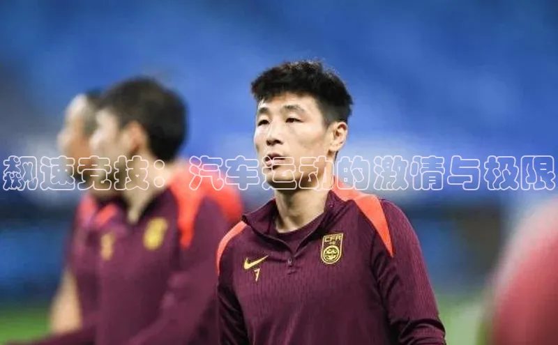 飙速竞技：汽车运动的激情与极限