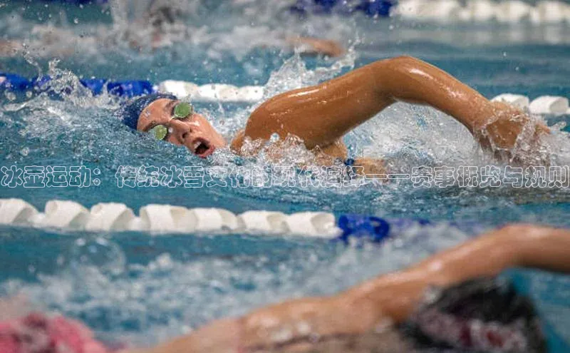 冰壶运动：传统冰雪文化的现代演绎——赛事概览与规则