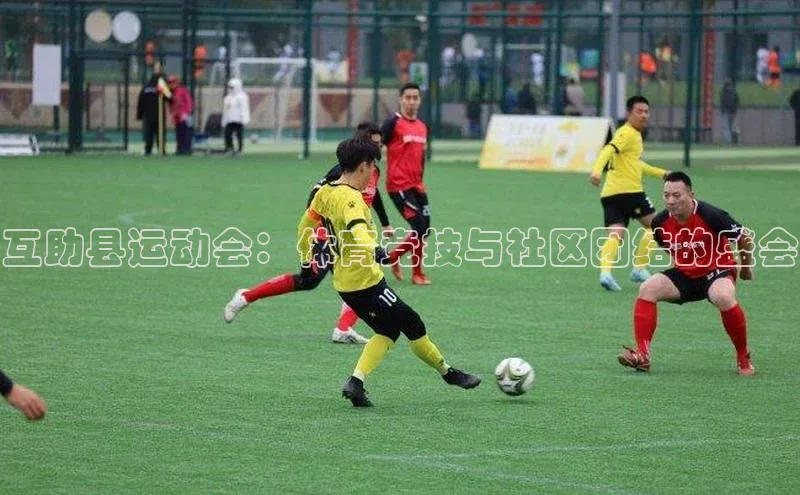 互助县运动会：体育竞技与社区团结的盛会