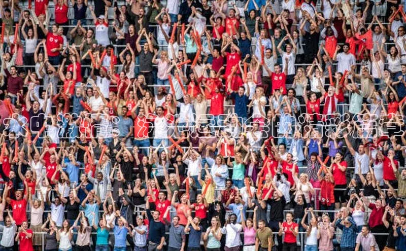 水中激情：泳池运动会的精彩篇章