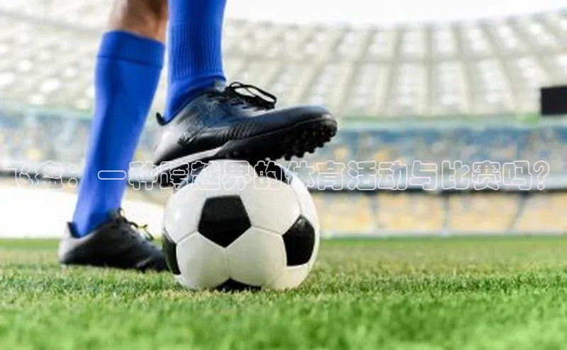 飞盘：一种跨越界的体育活动与比赛吗？