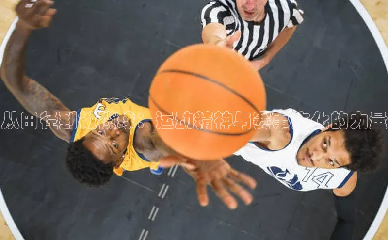 从田径到橄榄球：运动精神与赛事文化的力量