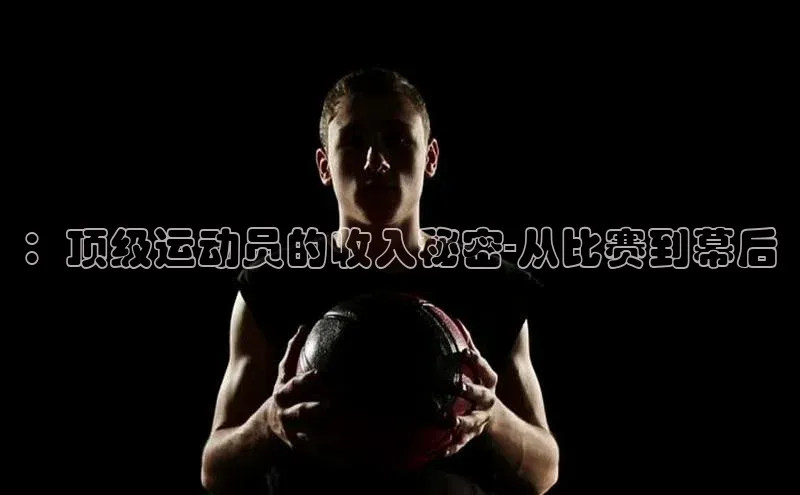 新宝网站登录入口