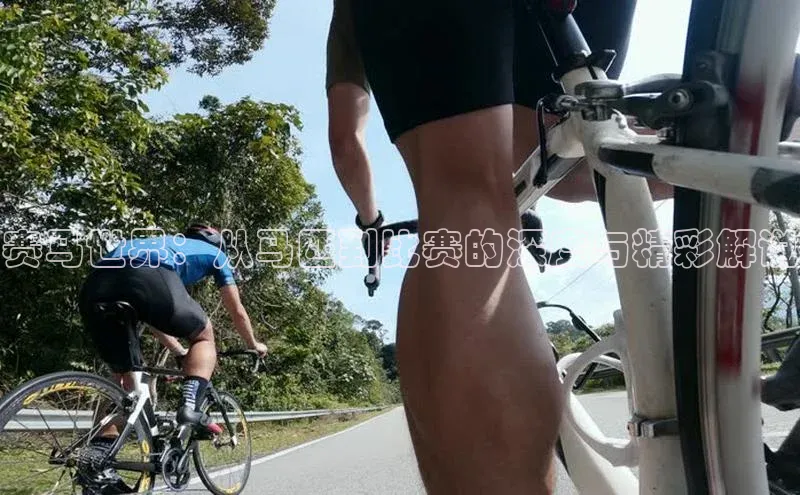 新宝gg一键登录