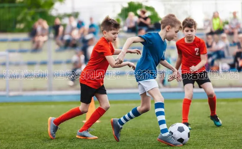 新宝gg创造奇迹平台总代理