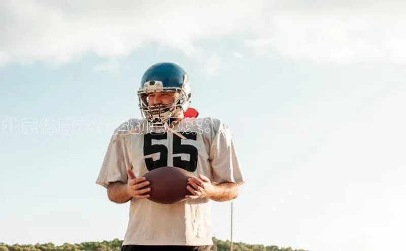 新宝网站登录入口