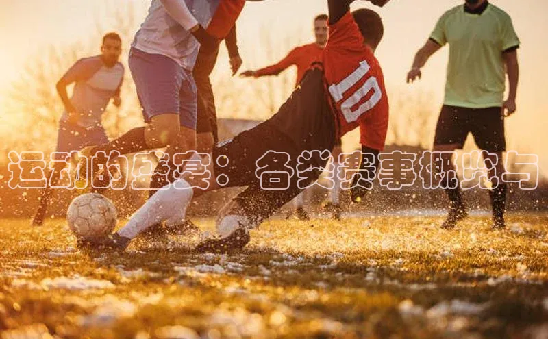 新宝gg一键登录