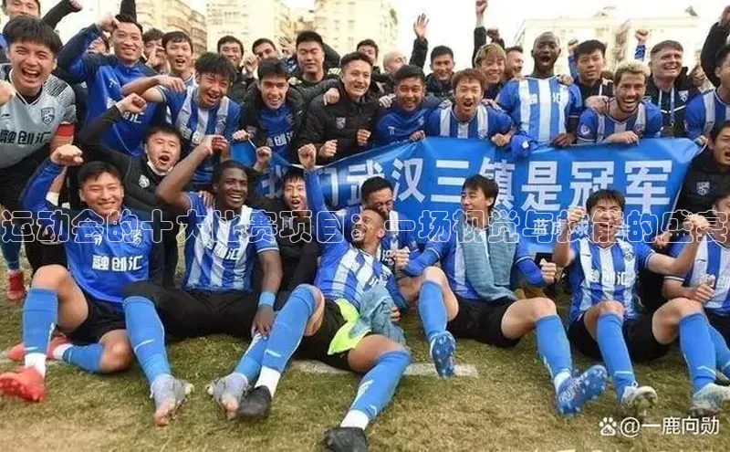 运动会的十大比赛项目：一场视觉与技能的盛宴