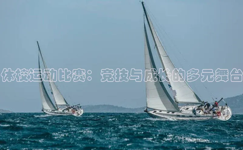体校运动比赛：竞技与成长的多元舞台